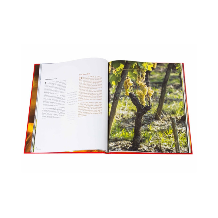 Le Livre "Château de Rayne Vigneau"