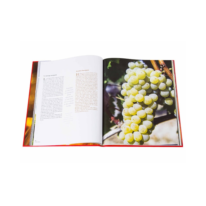 Le Livre "Château de Rayne Vigneau"